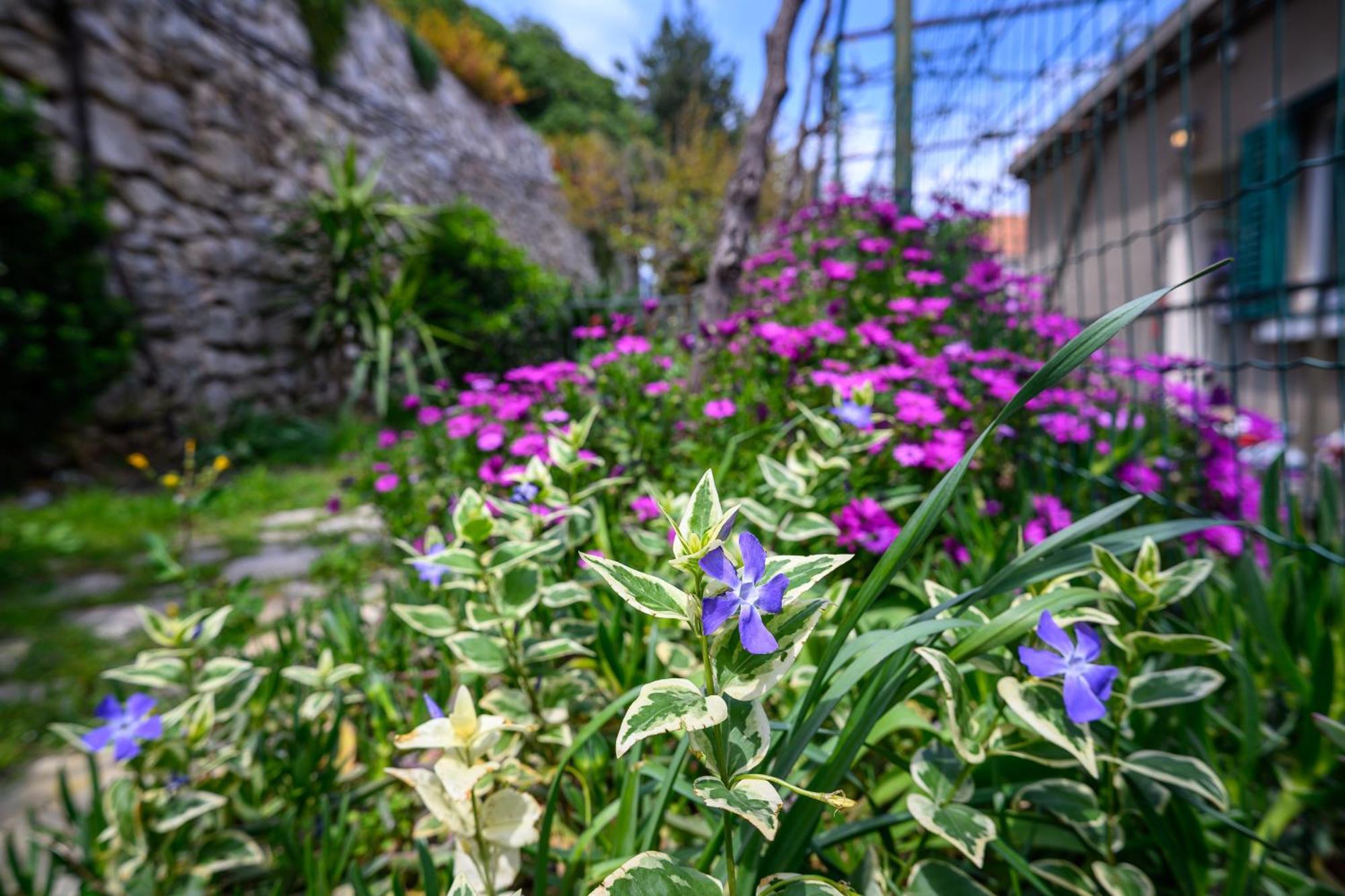 Green Holiday Apartment Dubrovnik